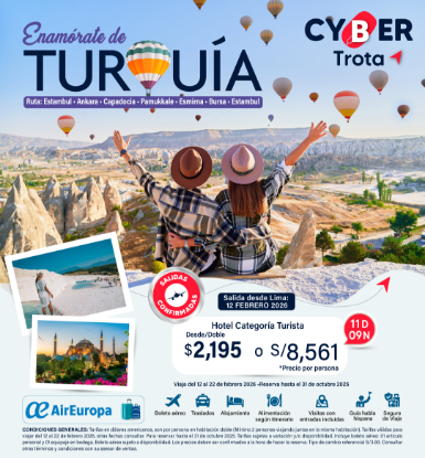 Imagen de Turquía - Cyber 
